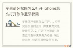 苹果蓝牙权限怎么打开 iphone怎么打开软件蓝牙权限