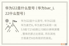 华为bac_L22什么型号 华为l22是什么型号