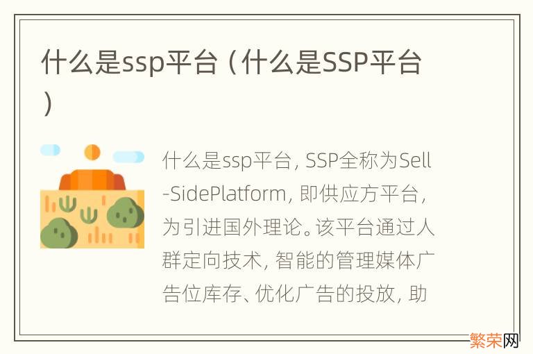 什么是SSP平台 什么是ssp平台