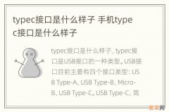 typec接口是什么样子 手机typec接口是什么样子