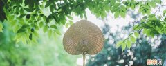 夏天房间闷热怎么降温 夏天房间太热怎么降温