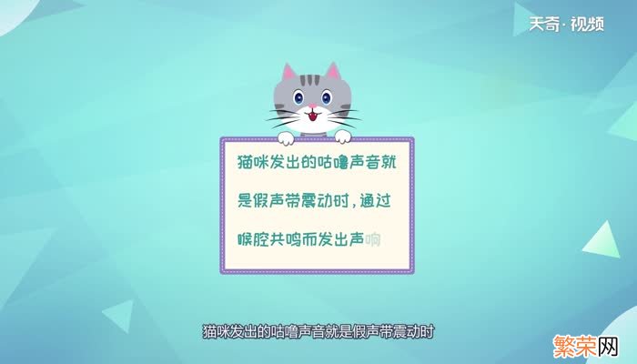 猫咪为什么会发出咕噜咕噜的声音 猫咪会发出咕噜咕噜的声音是为什么