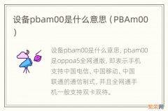 PBAm00 设备pbam00是什么意思