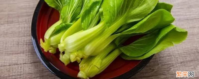 青江菜是青菜吗 青江菜是什么菜?