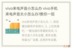 vivo来电声音小怎么办 vivo手机来电声音太小怎么办?教你一招