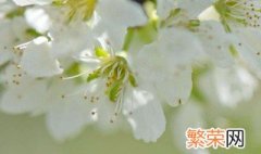 2022年春节什么节气 2022年春分节气是黄道吉日吗