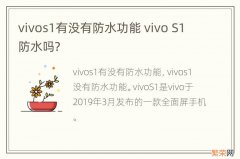 vivos1有没有防水功能 vivo S1防水吗?