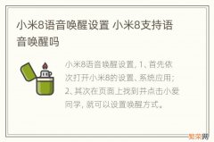 小米8语音唤醒设置 小米8支持语音唤醒吗