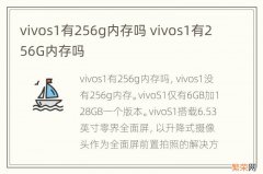 vivos1有256g内存吗 vivos1有256G内存吗