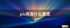 piu亮是什么意思网络语言 piu亮是什么意思