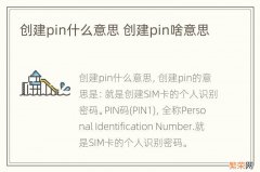 创建pin什么意思 创建pin啥意思