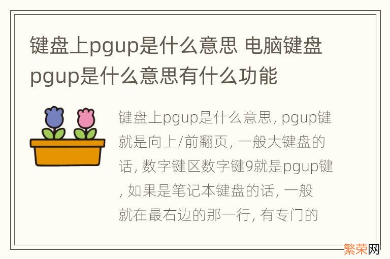 键盘上pgup是什么意思 电脑键盘pgup是什么意思有什么功能