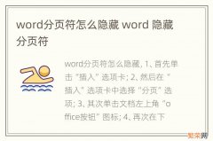 word分页符怎么隐藏 word 隐藏分页符