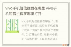 vivo手机短信拦截在哪里 vivo手机短信拦截在哪里打开