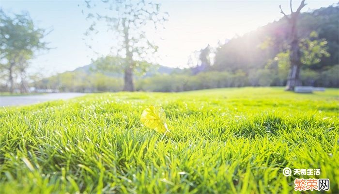 夏令时是什么意思 夏令时的意思