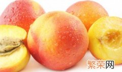 油桃和桃子的区别是什么 油桃和桃子的区别是什么?油桃有油我们都一样
