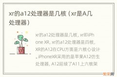 xr是A几处理器 xr的a12处理器是几核