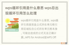 wps循环引用是什么意思 wps总出现循环引用怎么处理