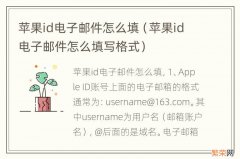 苹果id电子邮件怎么填写格式 苹果id电子邮件怎么填