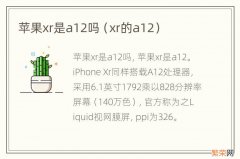 xr的a12 苹果xr是a12吗