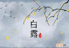 白露节气的含义是什么 白露节气的含义