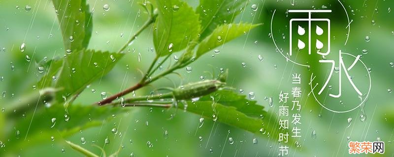 雨水节气不能回娘家吗 雨水节气时回娘家