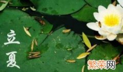 宁波立夏的风俗有哪些 宁波立夏有什么风俗