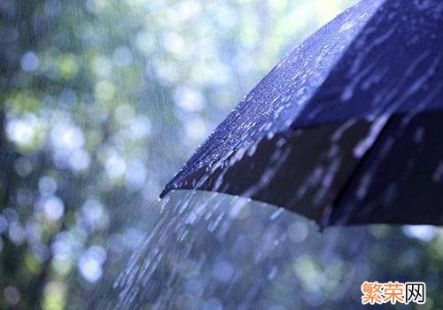 我知道为什么雨水节气容易下雨 雨水节气会下雨吗