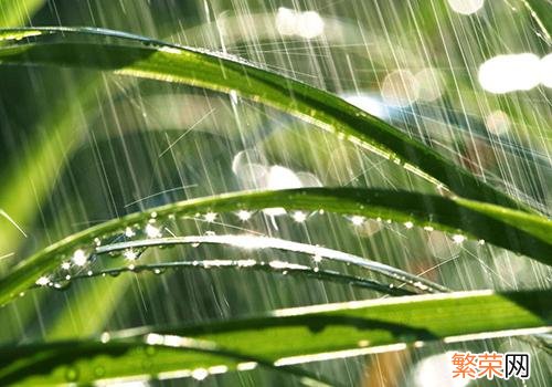 雨水的节气饮食 雨水节气这一天吃什么