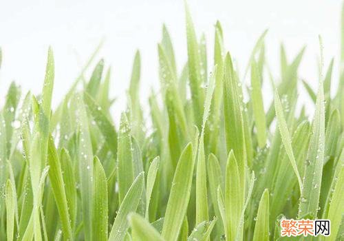 雨水节气还冷吗 雨水节气还冷吗?