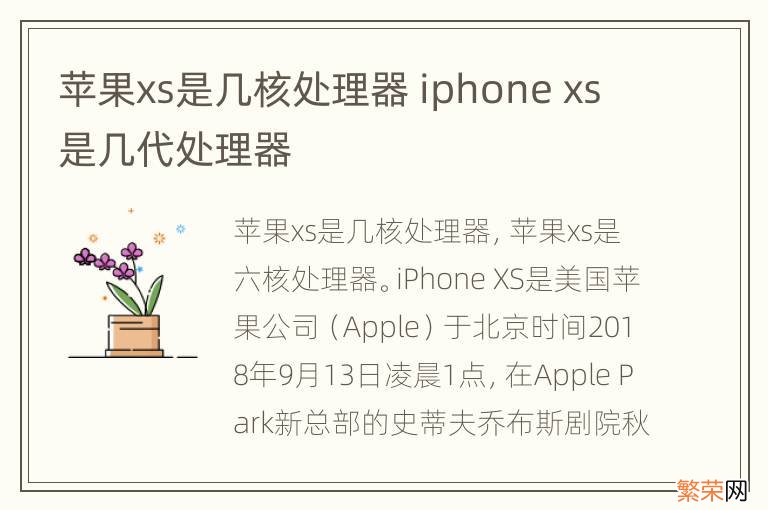 苹果xs是几核处理器 iphone xs是几代处理器