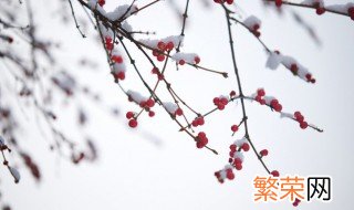 瑞雪兆丰年意思 瑞雪兆丰年意思相近的句子