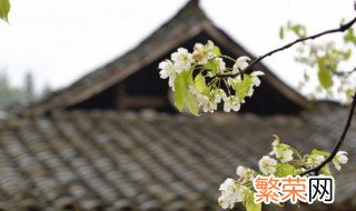 2022年清明节不可以做什么 2021年清明节会不会取消