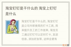 淘宝钉钉是干什么的 淘宝上钉钉是什么