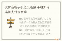 支付音响手机怎么连接 手机如何连接支付宝音响