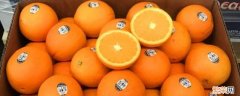 哪种水果称美国花旗橙 美橙是什么水果