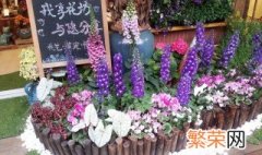 新手如何开花店 开花店方法