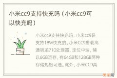 小米cc9可以快充吗 小米cc9支持快充吗