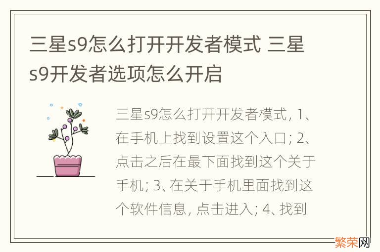 三星s9怎么打开开发者模式 三星s9开发者选项怎么开启