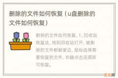 u盘删除的文件如何恢复 删除的文件如何恢复