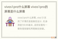 vivos1pro什么屏幕 vivos1pro的屏幕是什么屏幕