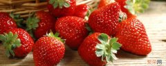 冬天草莓不洗可以放多久 草莓不洗放冰箱能放几天