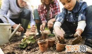 瑞香什么时间换盆 瑞香换盆时间和方法