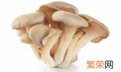 平菇的生长条件是什么 平菇怎么做好吃