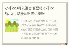 小米cc9可以语音唤醒吗 小米cc9pro可以语音唤醒小爱吗