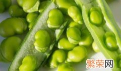 嫩蚕豆如何保存 嫩蚕豆怎么做好吃