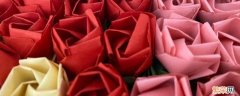 怎么用纸巾折玫瑰花 怎么用纸巾折玫瑰花简单