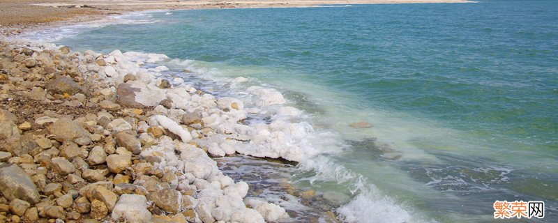 死海是什么海 世界最大的死海是什么海