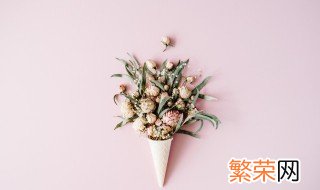 种什么花最赚钱 种什么花比较赚钱