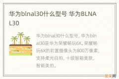 华为blnal30什么型号 华为BLNAL30